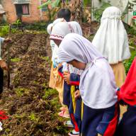 Dukung Program Ketahanan Pangan Nasional, Siswa SDIT BBS Bogor Pelajari Cara Menanam Jagung