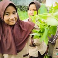 Tingkatkan Kegemaran Makan Sayur, SDIT BBS Bogor Ajak Siswa Panen Kangkung